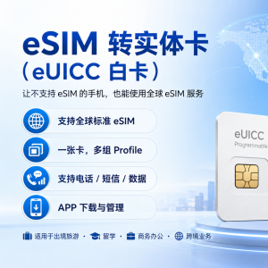 已激活1张giffgaff卡的eSIM 实体卡（eUICC 白卡已写入1张giffgaff卡，余额10英镑）
